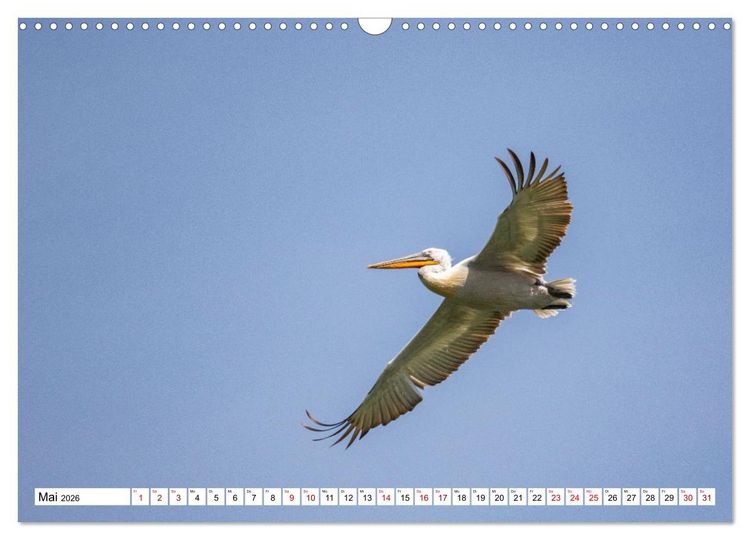 Produktbild: Vogelparadies Volvi-See (Wandkalender 2026 DIN A3 quer), CALVENDO Monatskalender