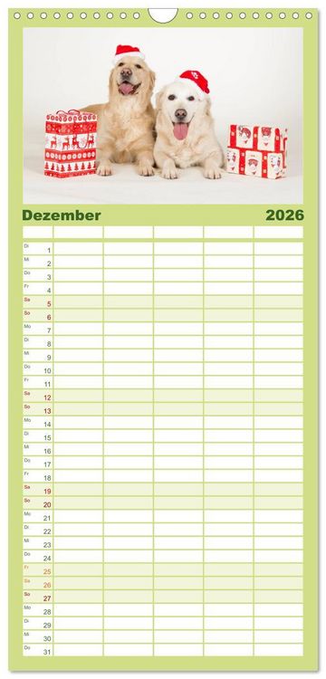 Produktbild: Familienplaner 2026 - Golden Retriever mit 5 Spalten (Wandkalender, 21 x 45 cm) CALVENDO