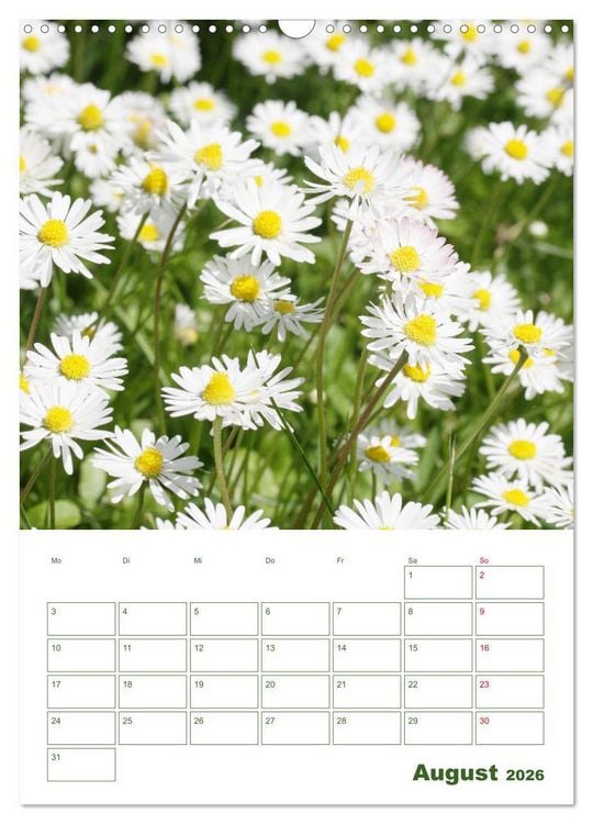 Produktbild: Wei&szlig;e Bl&uuml;ten im Gr&uuml;nen (Wandkalender 2026 DIN A3 hoch), CALVENDO Monatskalender
