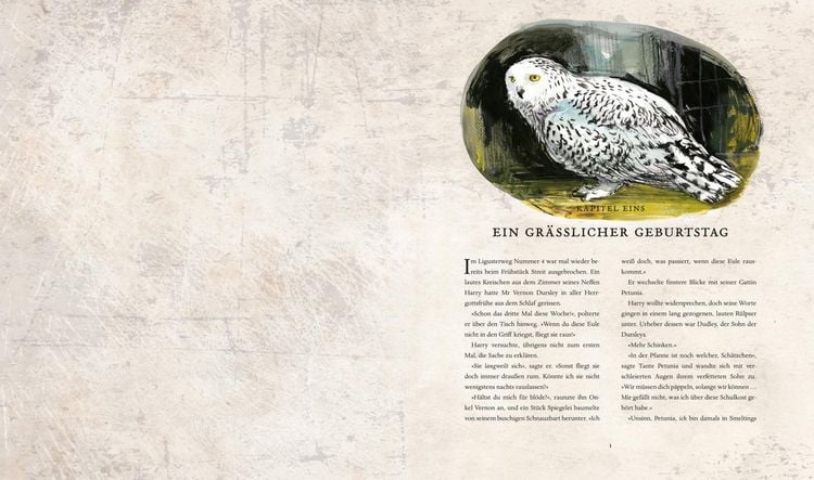 Produktbild: Harry Potter und die Kammer des Schreckens (farbig illustrierte Schmuckausgabe)