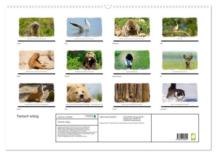 Produktbild: Tierisch witzig (Wandkalender 2026 DIN A2 quer), CALVENDO Monatskalender