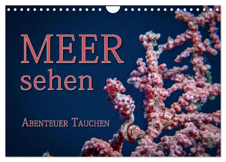 Produktbild: Meer sehen - Abenteuer Tauchen (Wandkalender 2026 DIN A4 quer), CALVENDO Monatskalender