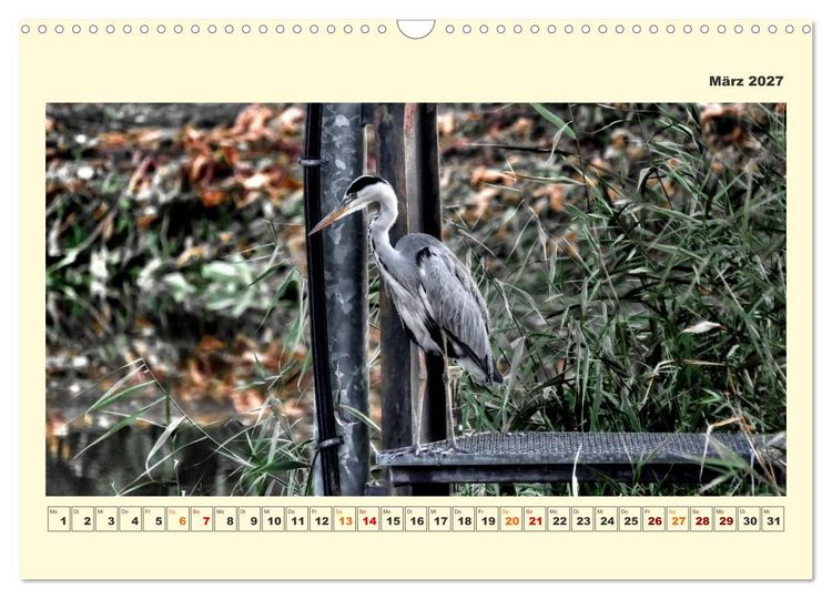 Produktbild: Tierwelt der W&uuml;mmeniederung (Wandkalender 2027 DIN A3 quer), CALVENDO Monatskalender