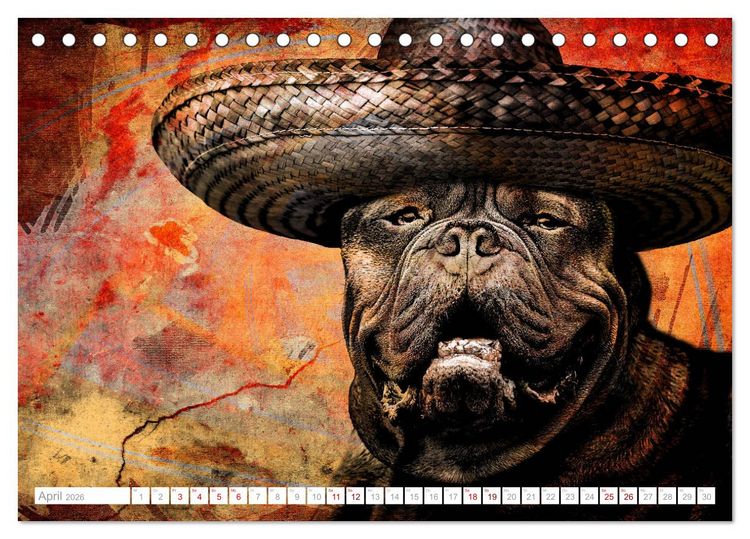 Produktbild: Hund tr&auml;gt Hut (Tischkalender 2026 DIN A5 quer), CALVENDO Monatskalender