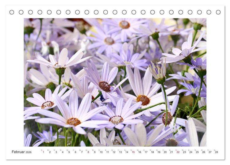 Produktbild: Bl&uuml;ten eines Sommers (Tischkalender 2026 DIN A5 quer), CALVENDO Monatskalender