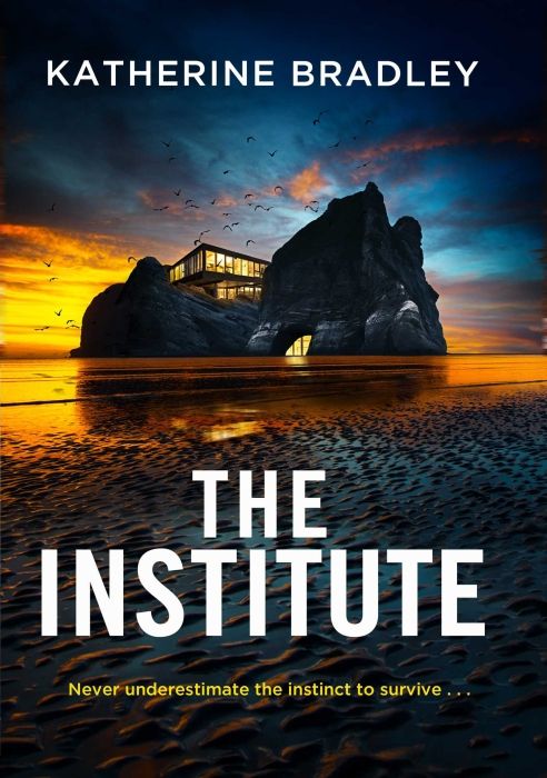 Produktbild: The Institute
