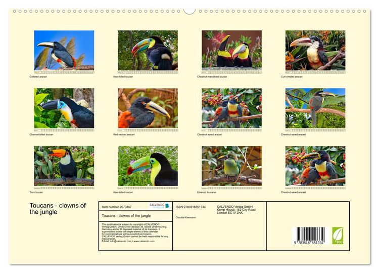 Produktbild: Toucans - clowns of the jungle (High Quality Premium Wall Calendar 2026 DIN A2 landscape),CALVENDO 12 Month Wall Calendar