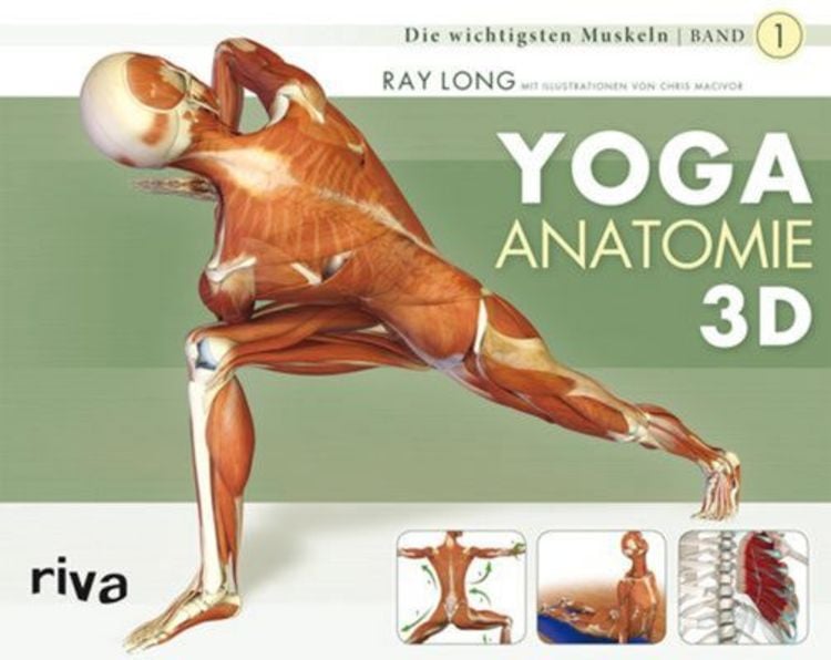 Produktbild: Yoga-Anatomie 3D