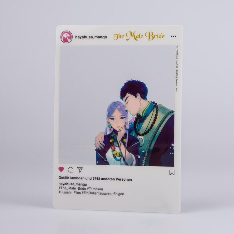 Produktbild: The Male Bride 1