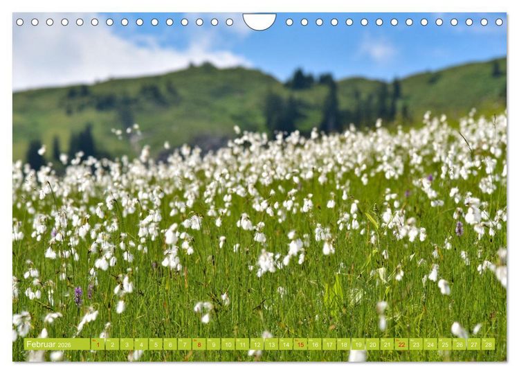 Produktbild: Ein Sommertag in Dam&uuml;ls (Wandkalender 2026 DIN A4 quer), CALVENDO Monatskalender