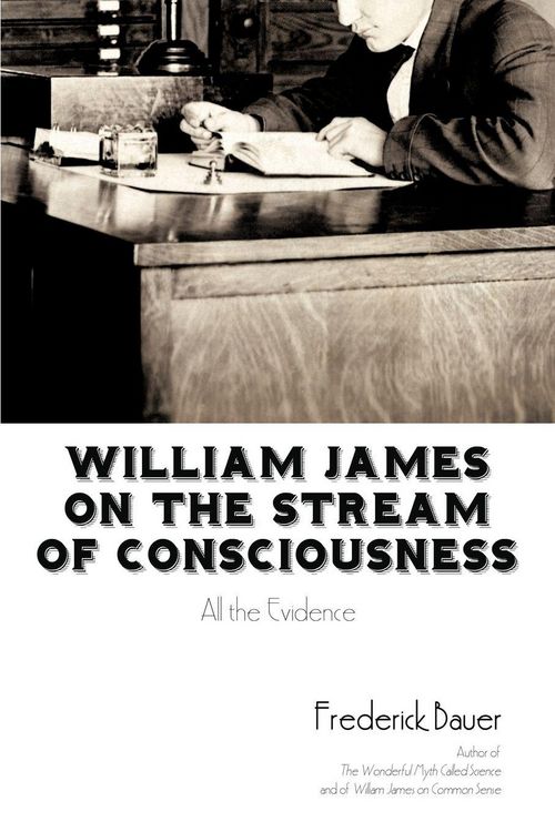 Produktbild: William James on the Stream of Consciousness