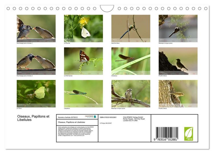 Produktbild: Oiseaux, Papillons et Libellules (Calendrier mural 2026 DIN A4 vertical), CALVENDO calendrier mensuel
