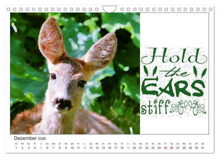 Produktbild: Tierisch Denglisch (Wandkalender 2026 DIN A4 quer), CALVENDO Monatskalender