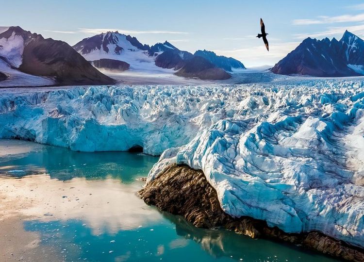 Produktbild: FROZEN PLANET - EISIGE WELTEN II [2 DVDs]
