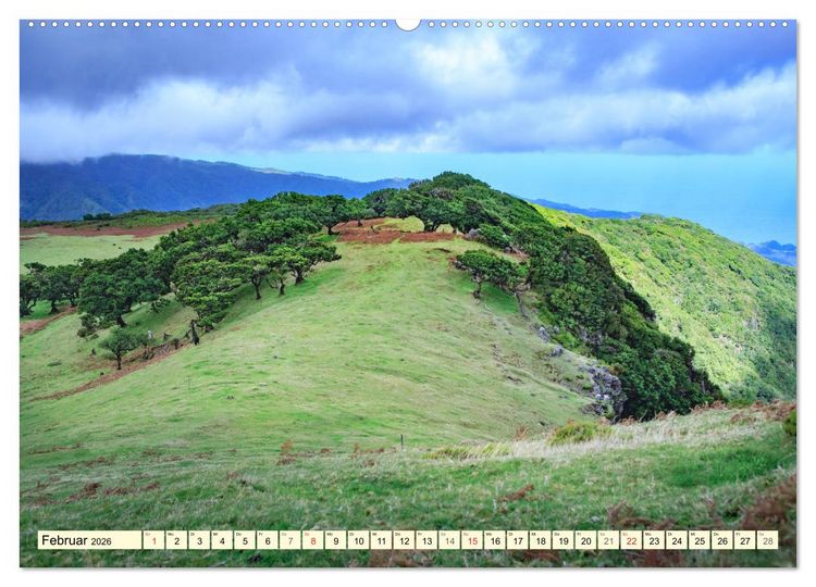 Produktbild: Mystische W&auml;lder - Zauber der Natur (hochwertiger Premium Wandkalender 2026 DIN A2 quer), Kunstdruck in Hochglanz