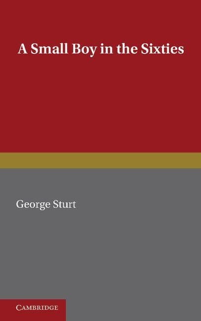 Produktbild: A Small Boy in the Sixties