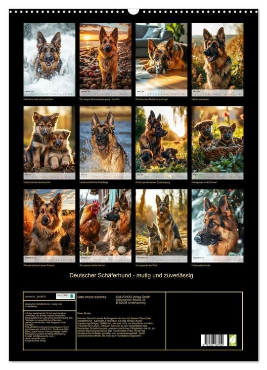 Produktbild: Deutscher Sch&auml;ferhund - mutig und zuverl&auml;ssig (Wandkalender 2026 DIN A2 hoch), CALVENDO Monatskalender