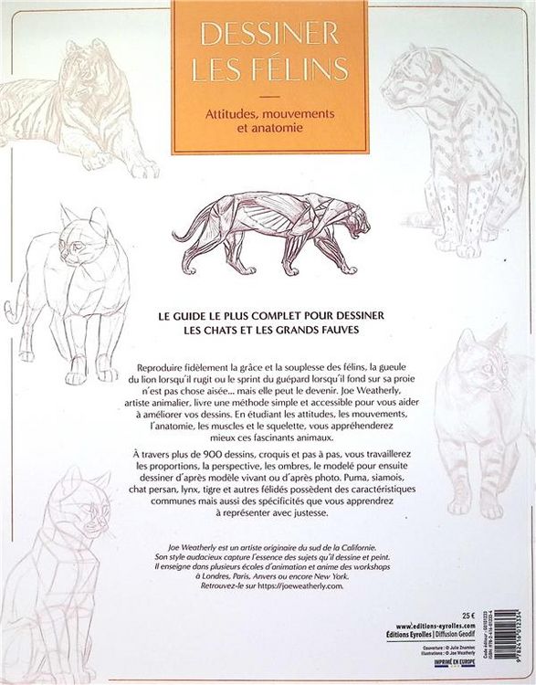 Produktbild: Dessiner les felins