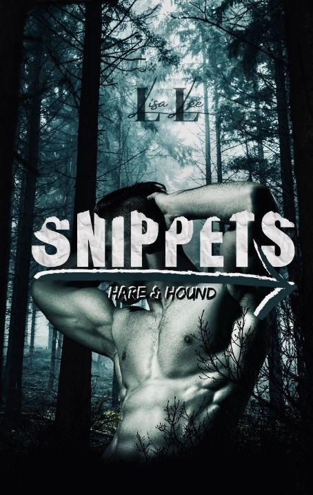Produktbild: Snippets