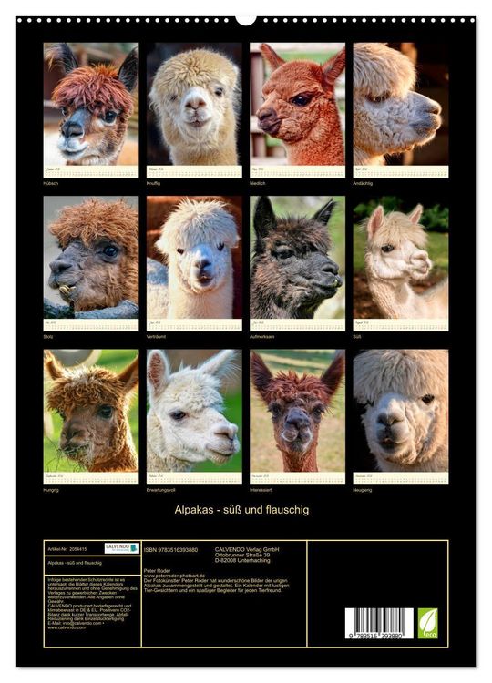 Produktbild: Alpakas - s&uuml;&szlig; und flauschig (hochwertiger Premium Wandkalender 2026 DIN A2 hoch), Kunstdruck in Hochglanz