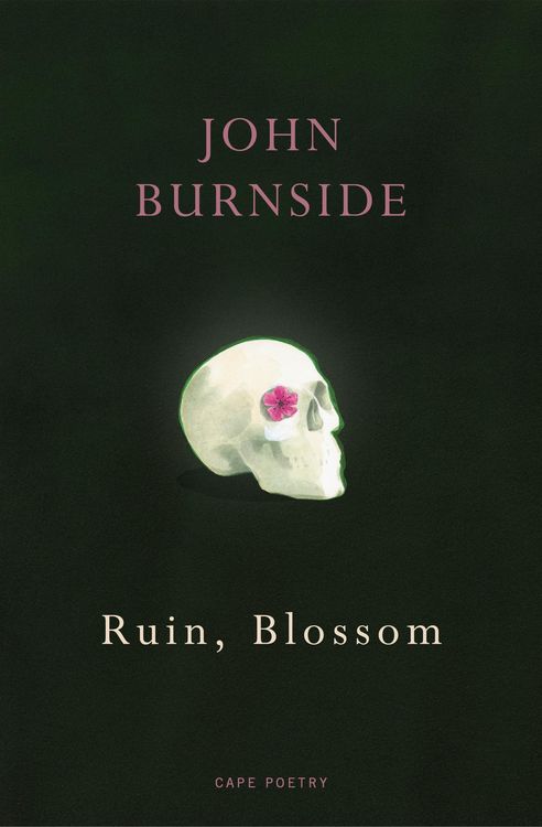 Produktbild: Ruin, Blossom