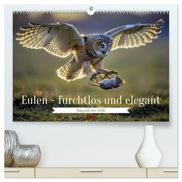 Produktbild: Eulen - furchtlos und elegant (hochwertiger Premium Wandkalender 2027 DIN A2 quer), Kunstdruck in Hochglanz