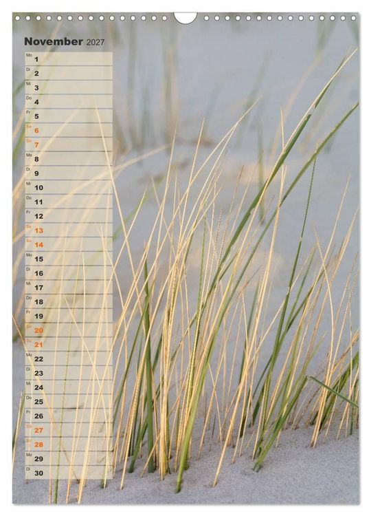 Produktbild: Zwischen D&uuml;nen und Watt / Geburtstagskalender (Wandkalender 2027 DIN A3 hoch), CALVENDO Monatskalender