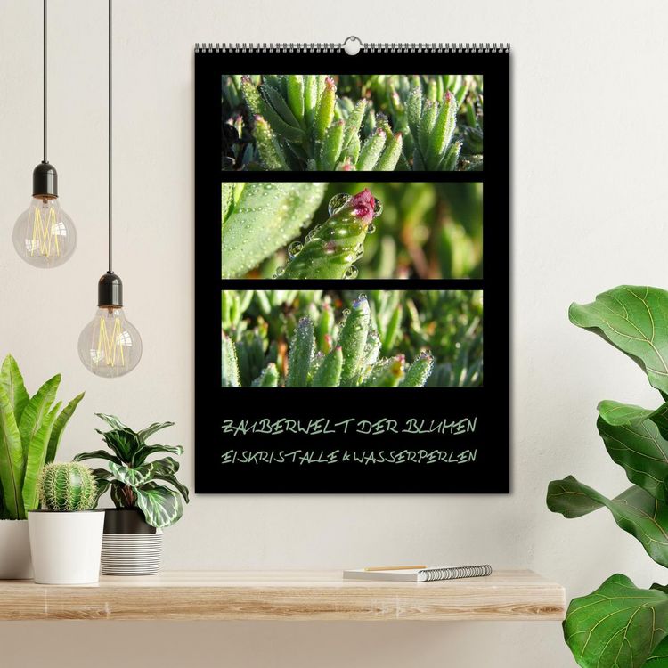 Produktbild: ZAUBERWELT DER BLUMEN - EISKRISTALLE & WASSERPERLEN (Wandkalender 2026 DIN A2 hoch), CALVENDO Monatskalender
