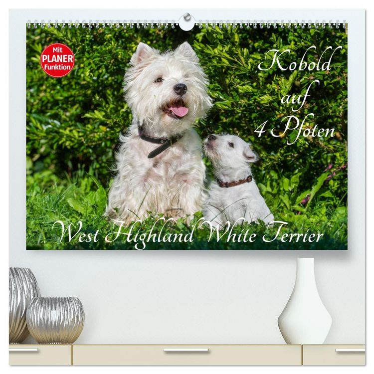 Produktbild: Kobold auf 4 Pfoten - West Highland White Terrier (hochwertiger Premium Wandkalender 2026 DIN A2 quer), Kunstdruck in Hochglanz