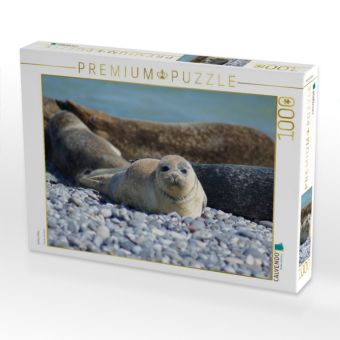 Produktbild: CALVENDO Puzzle Robben Baby | 1000 Teile Lege-Gr&ouml;&szlig;e 64x48cm Foto-Puzzle f&uuml;r gl&uuml;ckliche Stunden