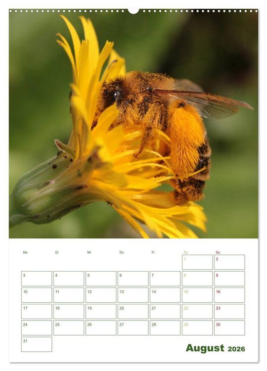 Produktbild: Bienen-Terminplaner 2026 (Wandkalender 2026 DIN A2 hoch), CALVENDO Monatskalender