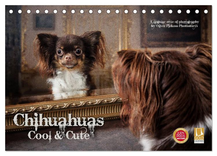 Produktbild: Chihuahuas - Cool and Cute (Tischkalender 2026 DIN A5 quer), CALVENDO Monatskalender