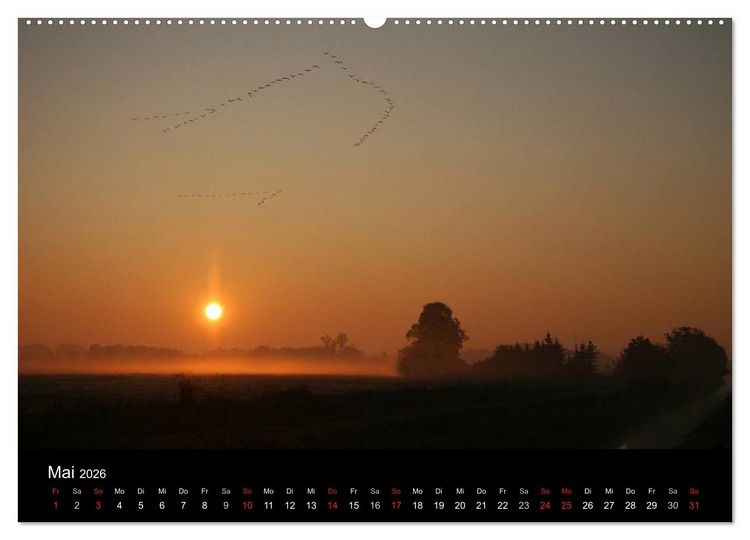 Produktbild: Kranich-Land Brandenburg (hochwertiger Premium Wandkalender 2026 DIN A2 quer), Kunstdruck in Hochglanz