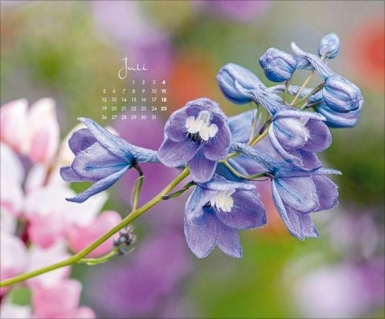 Produktbild: Floral Art 2027