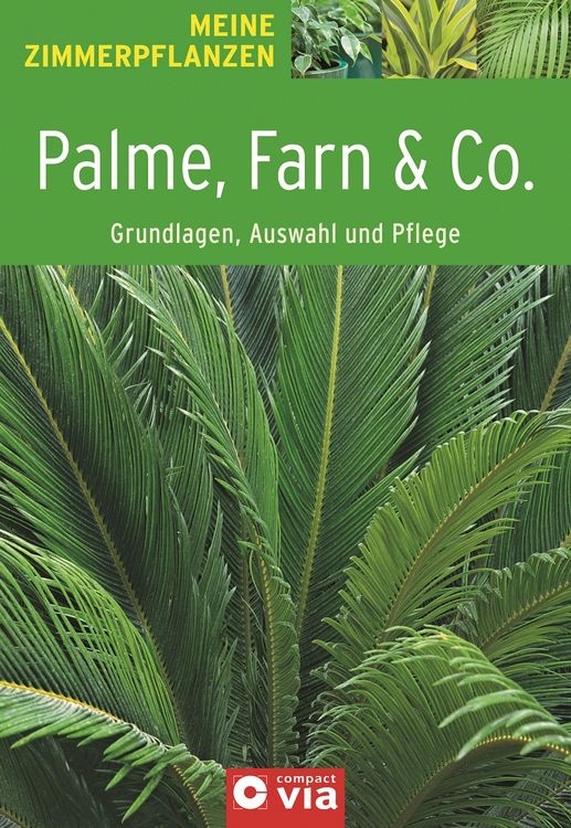 Produktbild: Palme, Farn & Co.