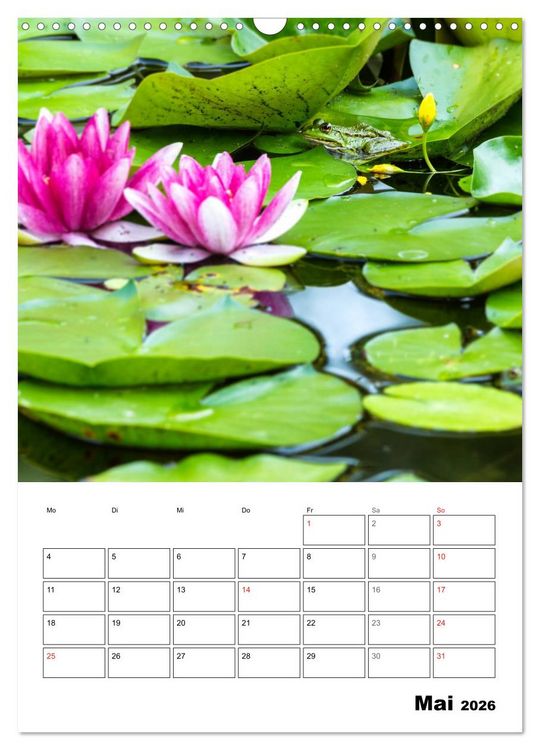 Produktbild: Farben der Natur (Wandkalender 2026 DIN A3 hoch), CALVENDO Monatskalender