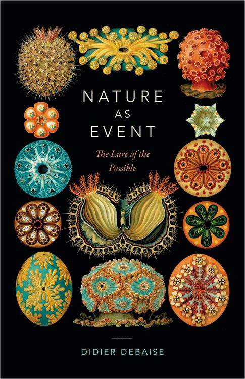 Produktbild: Nature as Event