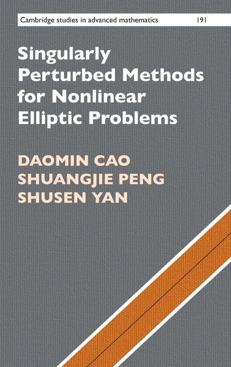 Produktbild: Singularly Perturbed Methods for Nonlinear Elliptic Problems