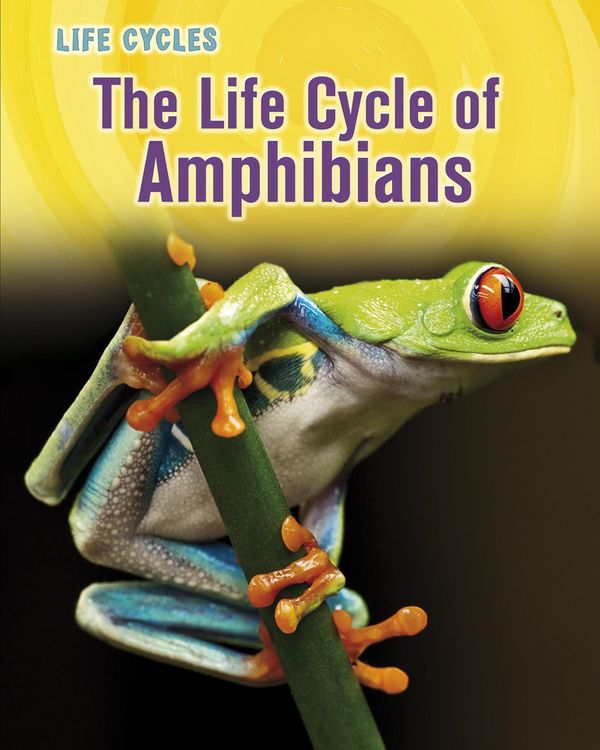 Produktbild: Life Cycle of Amphibians