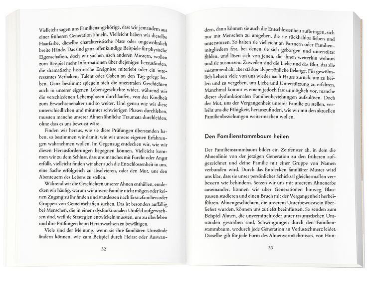 Produktbild: Die pr&auml;gende Kraft unserer Ahnen