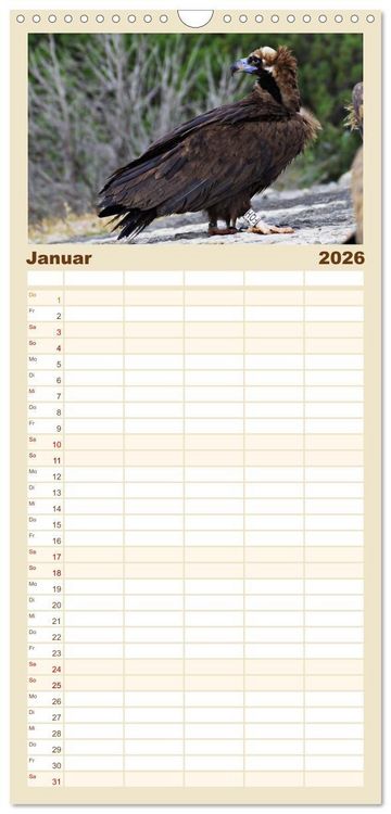 Produktbild: Familienplaner 2026 - Geier - die Gesundheitspolizei! mit 5 Spalten (Wandkalender, 21 x 45 cm) CALVENDO