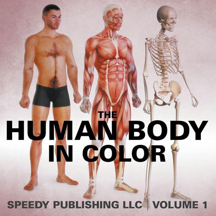 Produktbild: The Human Body In Color Volume 1