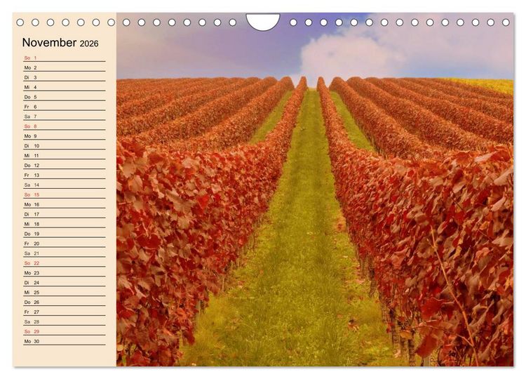 Produktbild: Weinanbau. Von der Traube zum Wein (Wandkalender 2026 DIN A4 quer), CALVENDO Monatskalender