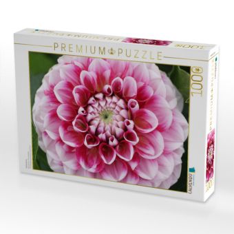 Produktbild: CALVENDO Puzzle Dahlienbl&uuml;te | 1000 Teile Lege-Gr&ouml;&szlig;e 64x48cm Foto-Puzzle f&uuml;r gl&uuml;ckliche Stunden