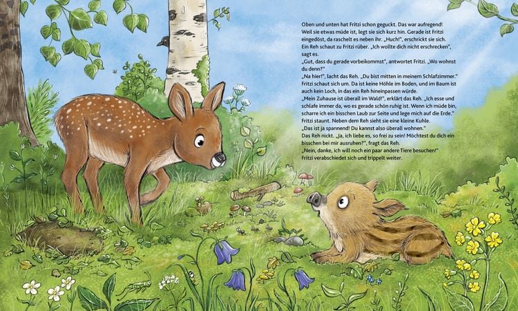 Produktbild: Wie wohnen die Waldtiere?
