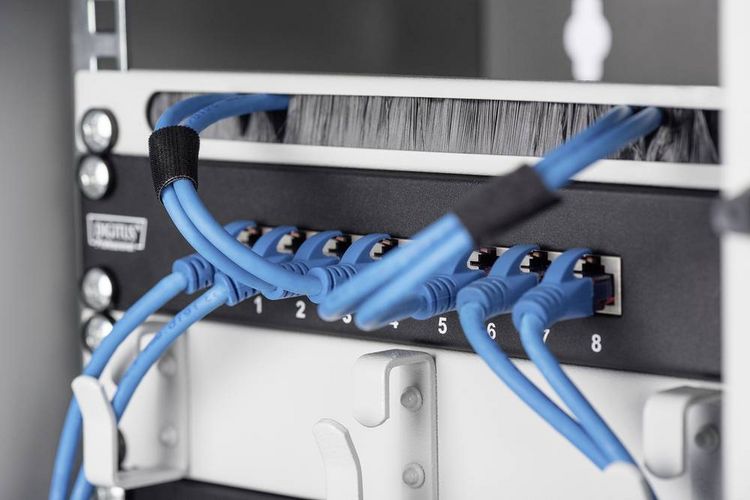Produktbild: Digitus DN-10 ORG-1U 10 Zoll Netzwerkschrank-Kabelf&uuml;hrung Festeinbau Geeignet f&uuml;r Schranktiefe: ab 300 mm Lichtgrau (RAL 7035)