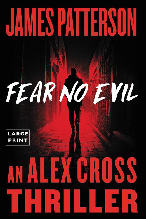 Produktbild: Fear No Evil