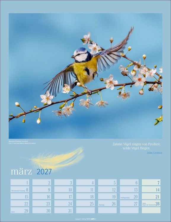 Produktbild: Heimische V&ouml;gel Kalender 2027