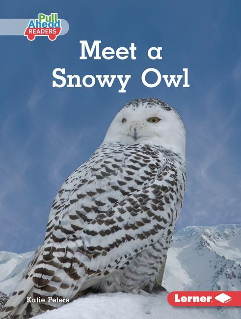 Produktbild: Meet a Snowy Owl