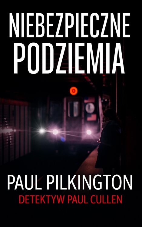 Produktbild: Niebezpieczne Podziemia (Detektyw Paul Cullen, #2)